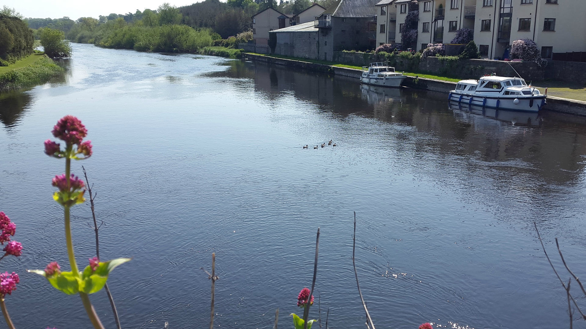 The Barrow Way Adventure Trail Activity Hotels in Carlow